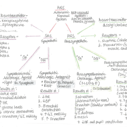 Rn learning system pharmacology practice quiz